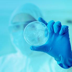 BioTechnology