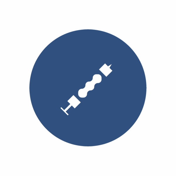 FASS Syringe Logo